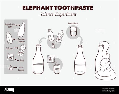 Elephant Toothpaste Independent Variable