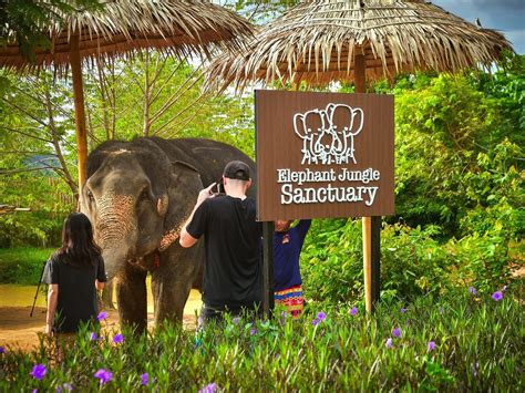 elephant walk sanctuary
