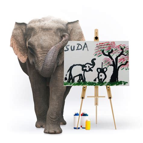 elephant with paint
