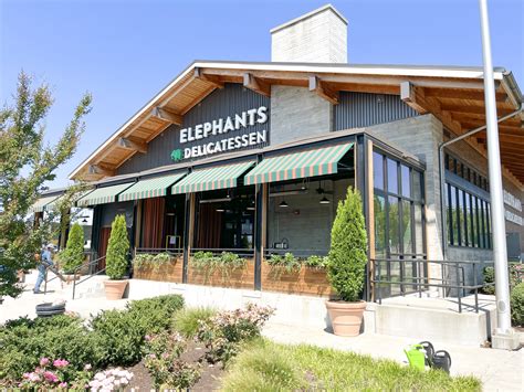 elephants cedar hills