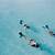 eleuthera snorkeling
