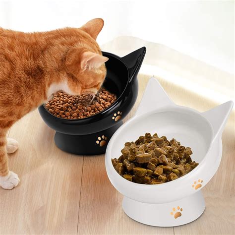 elevated and tilted cat food bowls