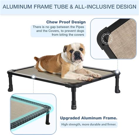 Elevated Dog Bed Australia