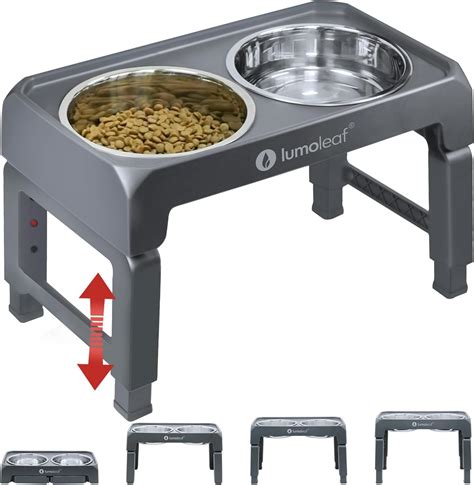 Elevated Dog Feeder Canada