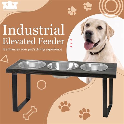 Elevated Dog Feeder Walmart