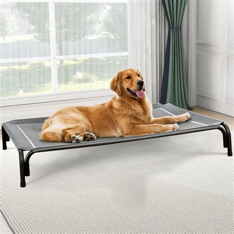 Elevated Pet Bed In Store