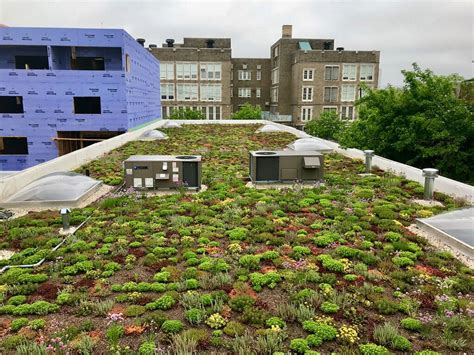 elevation green roofs llc