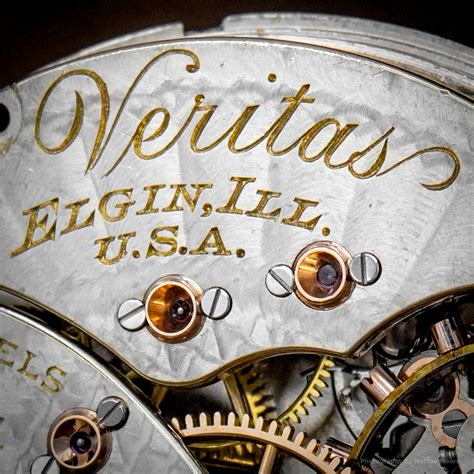 Elgin Veritas