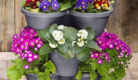 Elho Planter Green Basics Top 30 Cm Bloomling UK