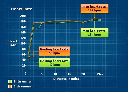 Elite Runner Heart Rate