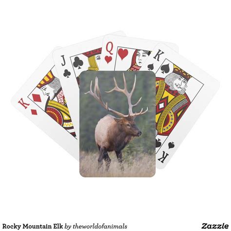 Elk Playing Cards Image