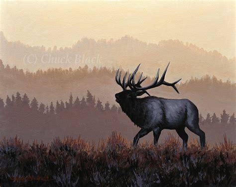 Rocky Mountain Bull Elk Print Wall Art By Ken Archer