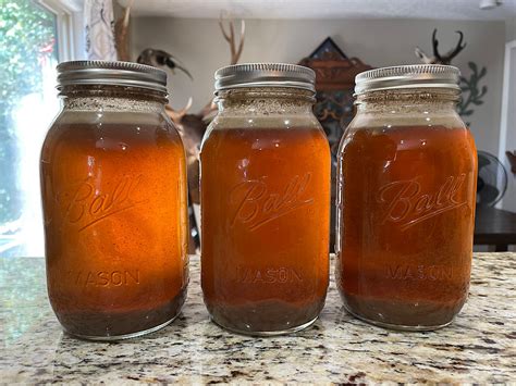 Elk Bone Broth