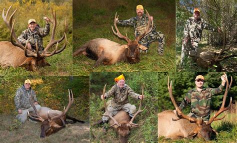 elk hunting in wv