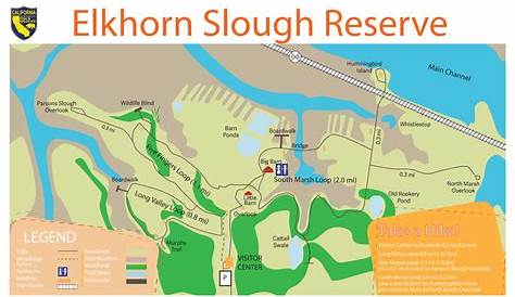 Elkhorn Slough Reserve Trail Map Kayak Rentals For , Moss Landing, CA