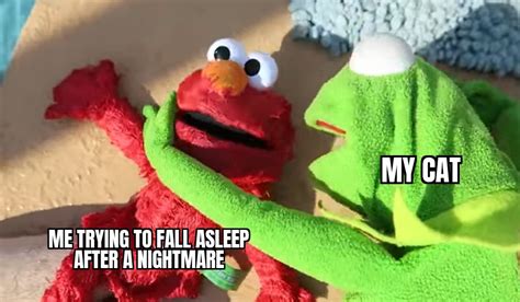 Kermit the Frog and Elmo Memes Submission YouTube
