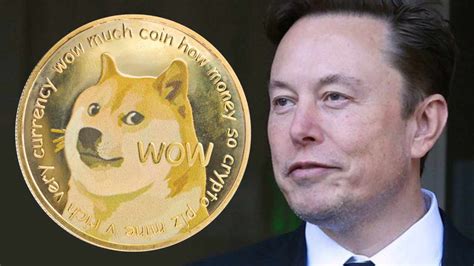 elon musk and dogecoin news