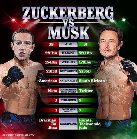 elon musk and mark zuckerberg ufc fight