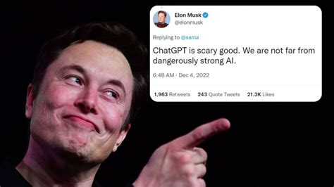 elon musk chat box