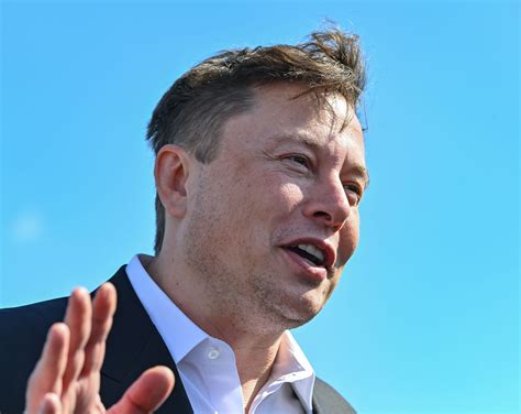 elon musk issues supreme court filing