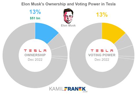 elon musk tesla share ownership