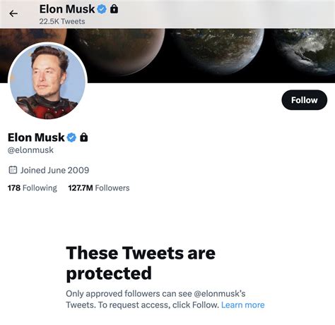 elon musk twitter account for business