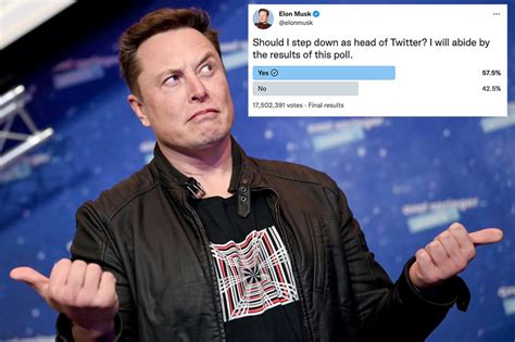 elon musk twitter poll step down