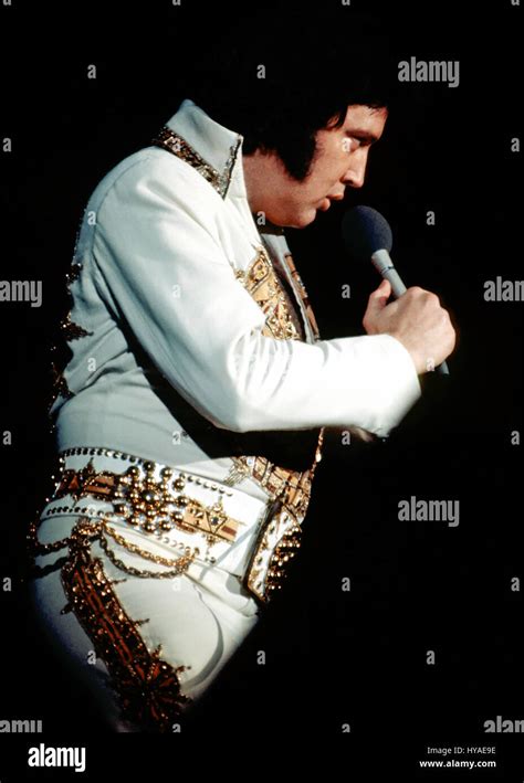 elvis presley concert 1977