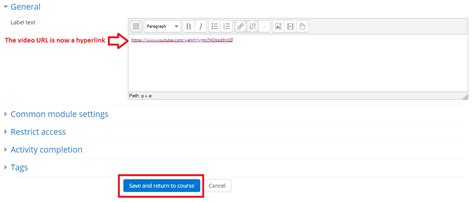 Embed Video Player In Moodle