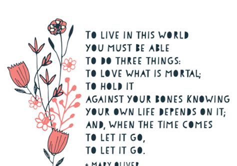 embracing mortality quote