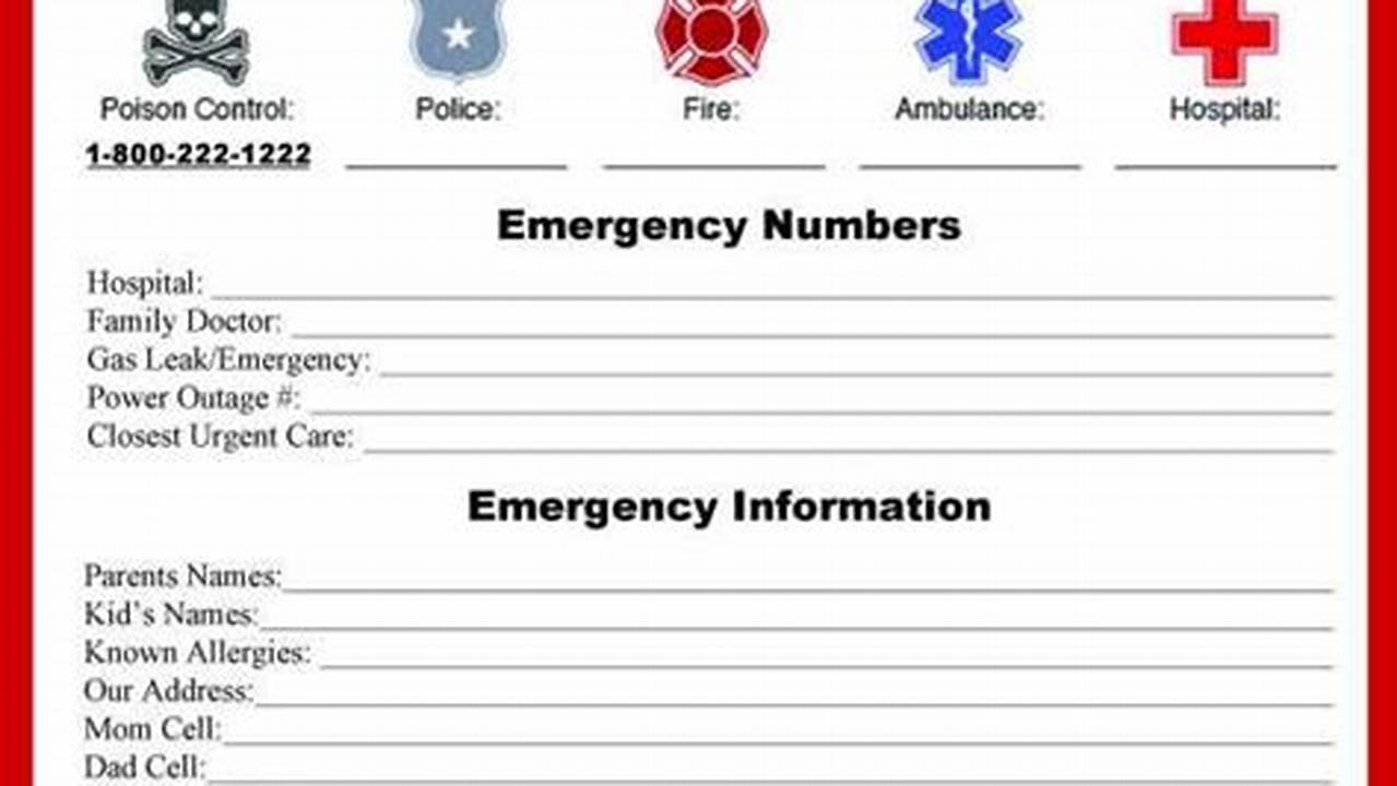 Emergency Contact Number Formats in Excel: Unlocking Accessibility and Efficiency