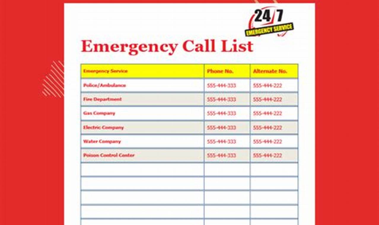 Emergency Contact Number Formats in Excel: Unlocking Accessibility and Efficiency