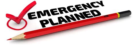 emergency foster placement