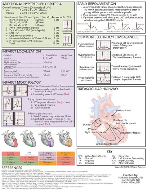 Emergency Lab Interpretation