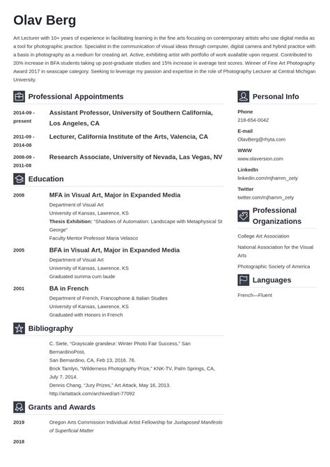 emerging artist cv example