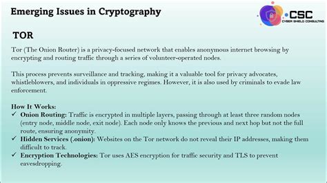 Emerging Issues In Cryptography