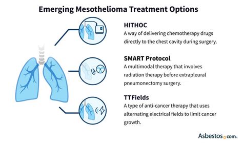 emerging treatment approaches for mesothelioma