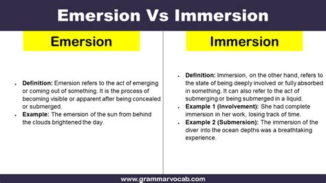 emersion immersion