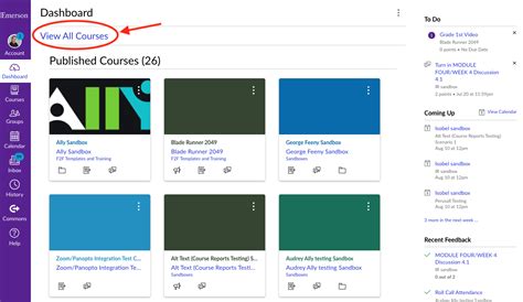 5 Emerson Canvas Tips