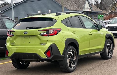 emily real detection