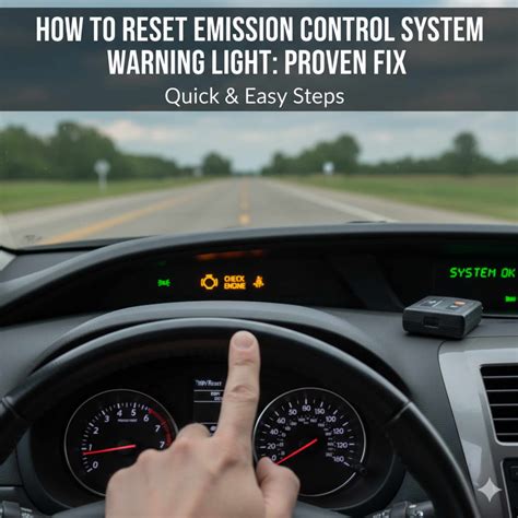 Emission Control System Reset