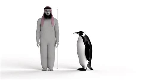 emperor penguin height compared to human