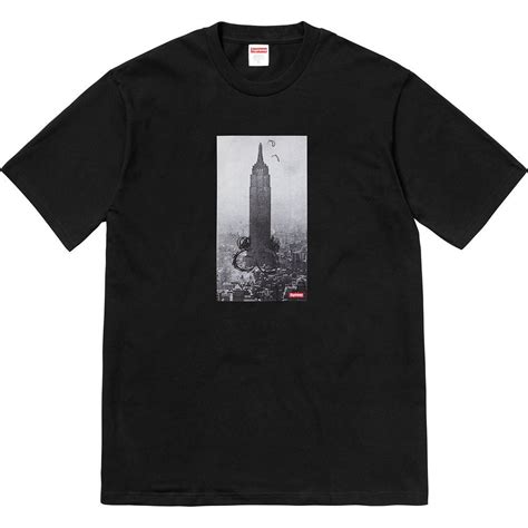 empire state building t shirt