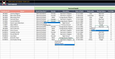 Employee Database Excel Template »