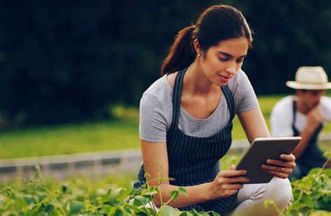 emprendimientos sustentables en chile