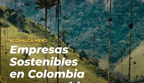 Empresas en Colombia se destacan en sostenibilidad - TintaTIC