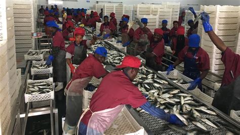 empresas de pesca em angola