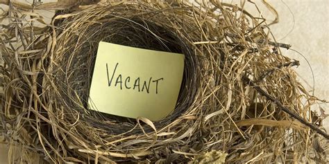 empty nest