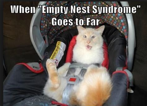 Empty Nest Quotes From Across the Life Unfettered
