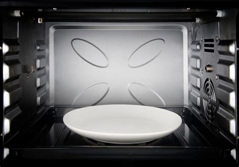 Empty Plate In Microwave